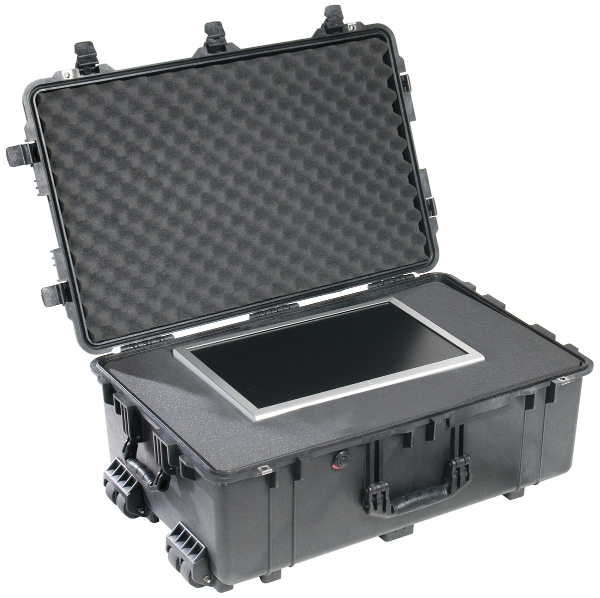 Pelican 1650 Protector Case